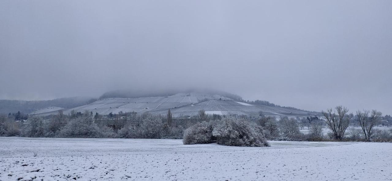 Ferienwohnung Kerstin Grambow Vaihingen an der Enz Bagian luar foto